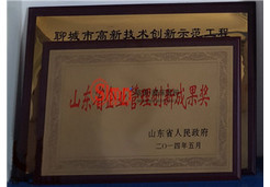 山東省企業管理創新成果獎